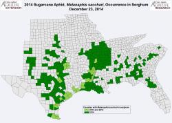 Image of a map showing the locations of sugarcane aphid